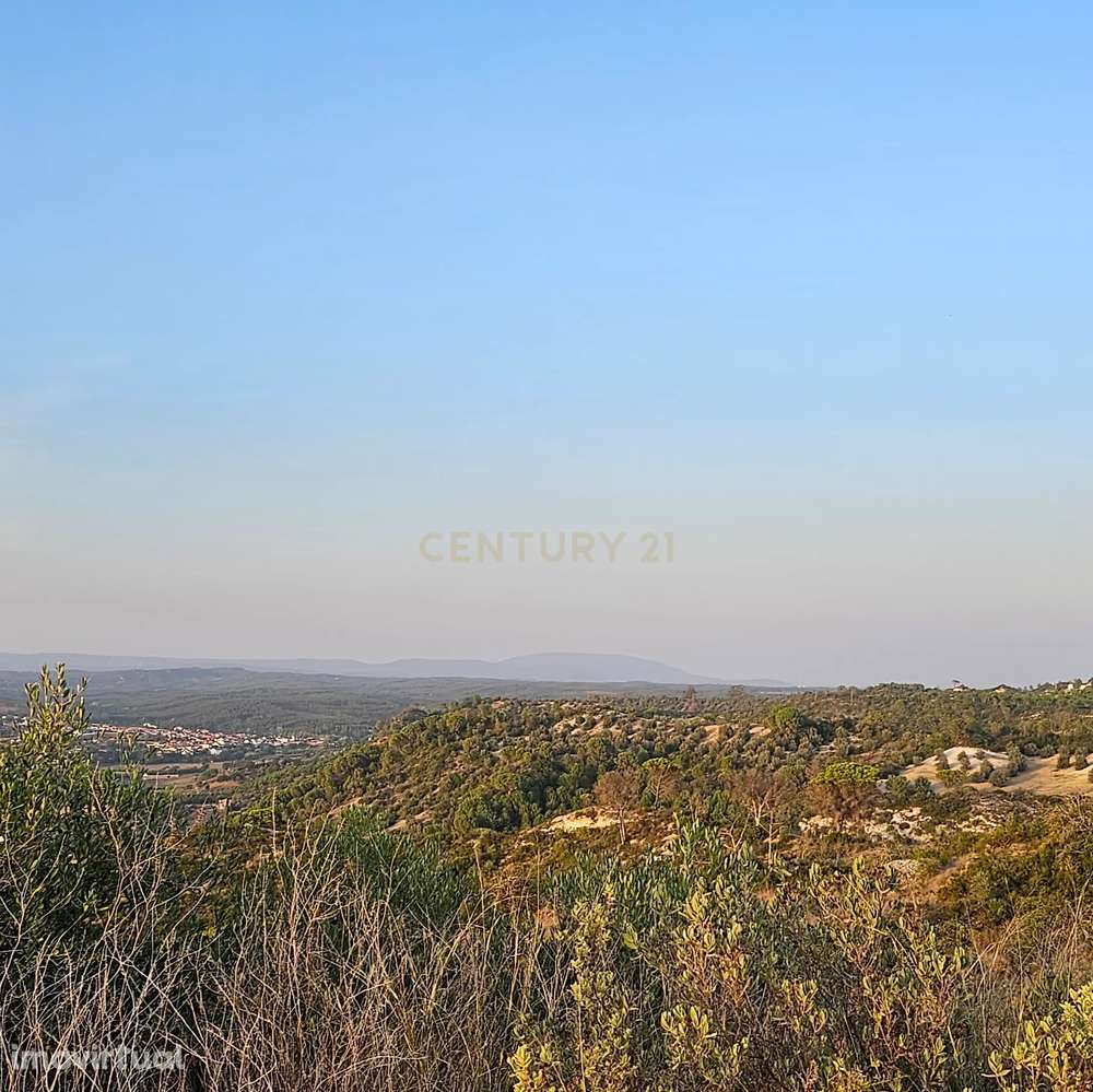 Terreno rústico de 19.720,00 m2 em Abitureiras para vinha e Olival - Grande imagem: 3/12