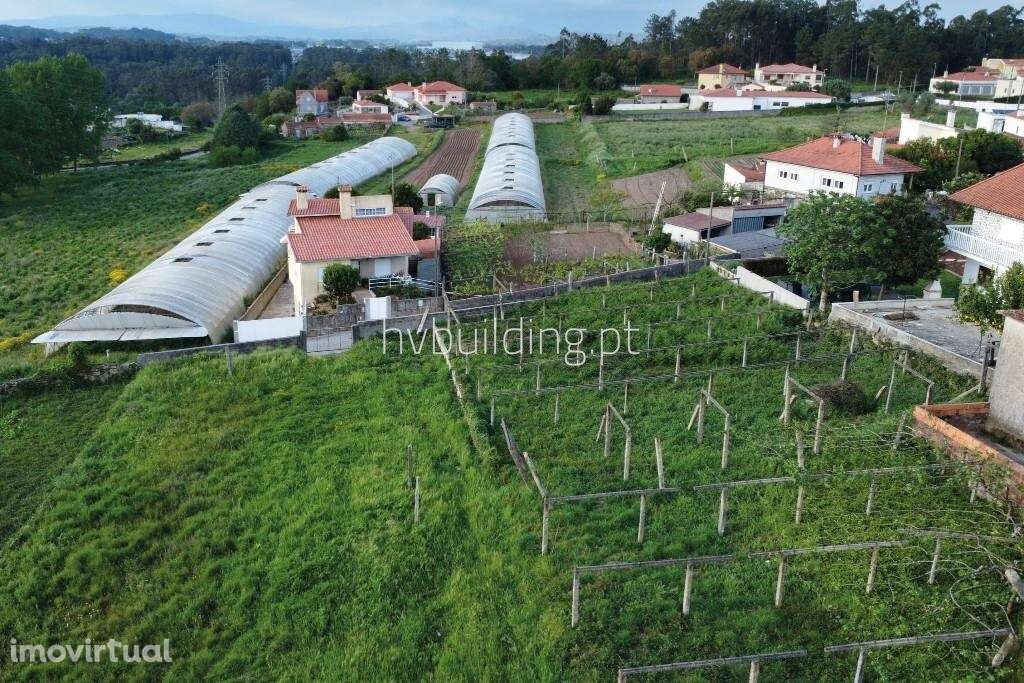 Terreno para construção em Antas, Esposende - Grande imagem: 3/12