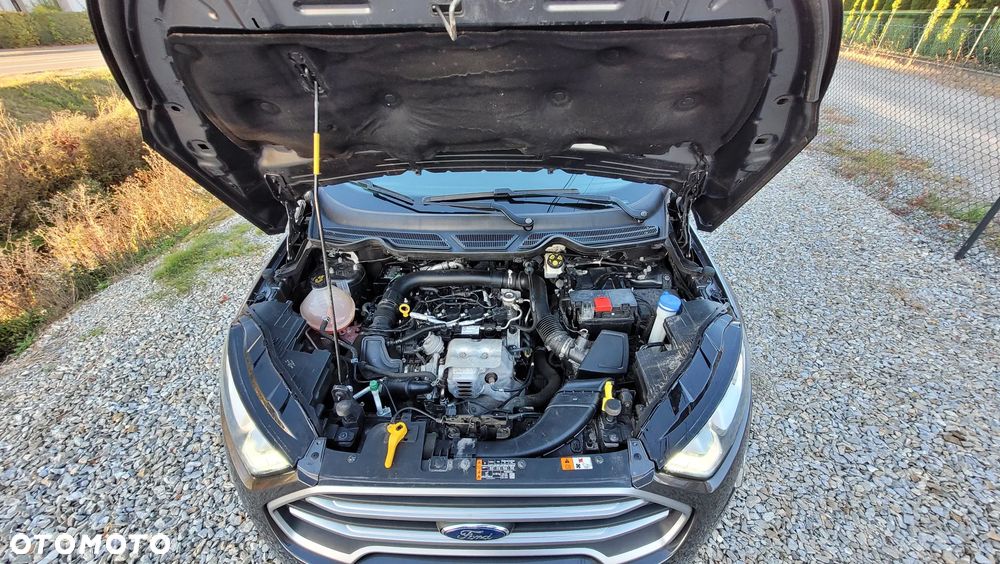 Ford EcoSport 1.0 EcoBoost COOL&CONNECT - 7