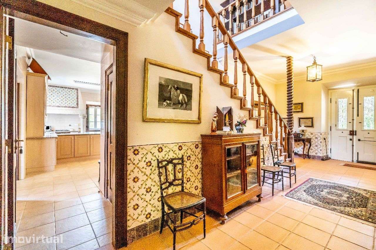 Quinta Histórica em Santarém com 539.460 m² - Grande imagem: 5/53