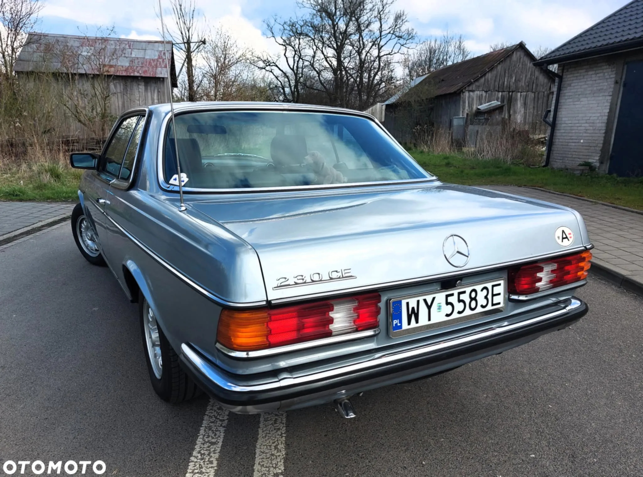 Mercedes-Benz W123 - 5
