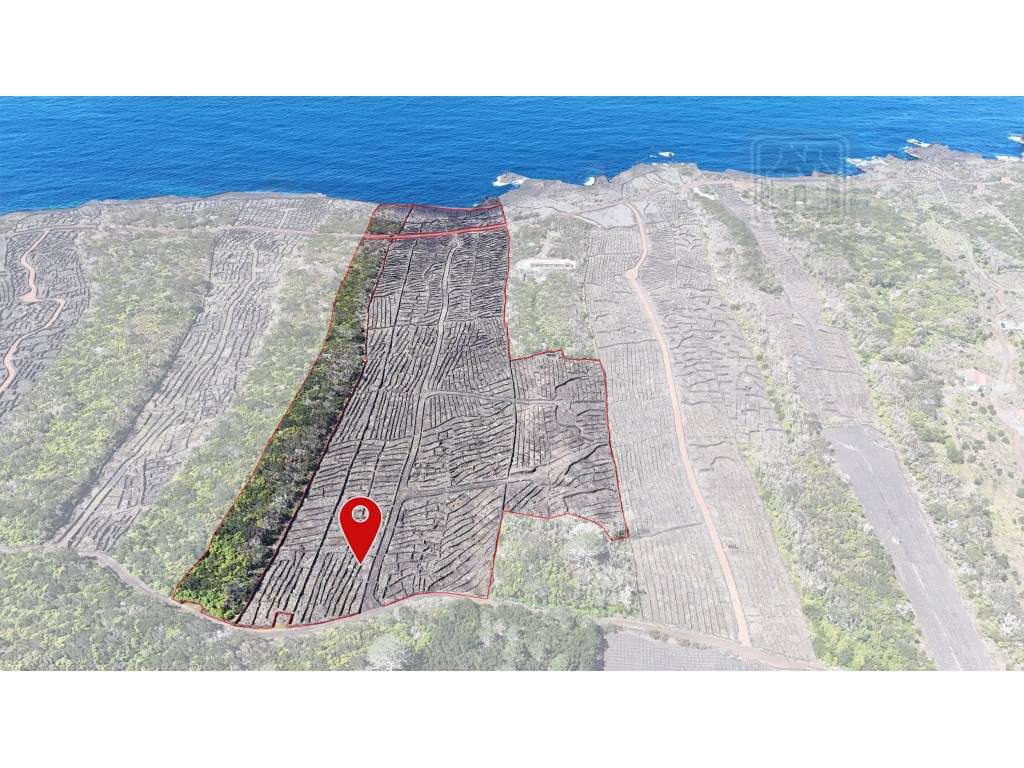 VENDA de AMPLO TERRENO com VISTA MAR e Montanha da Ilha do Pico - C... - Grande imagem: 2/17