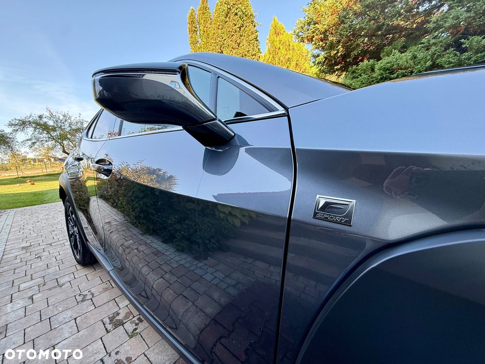 Lexus UX 250h GPF F Sport Design+ 2WD - 7