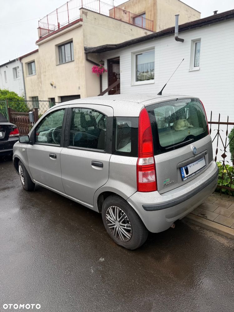 Fiat Panda - 2