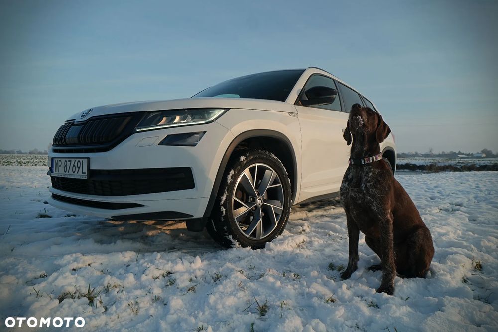 Skoda Kodiaq 2.0 TSI 4x4 Sportline DSG - 10
