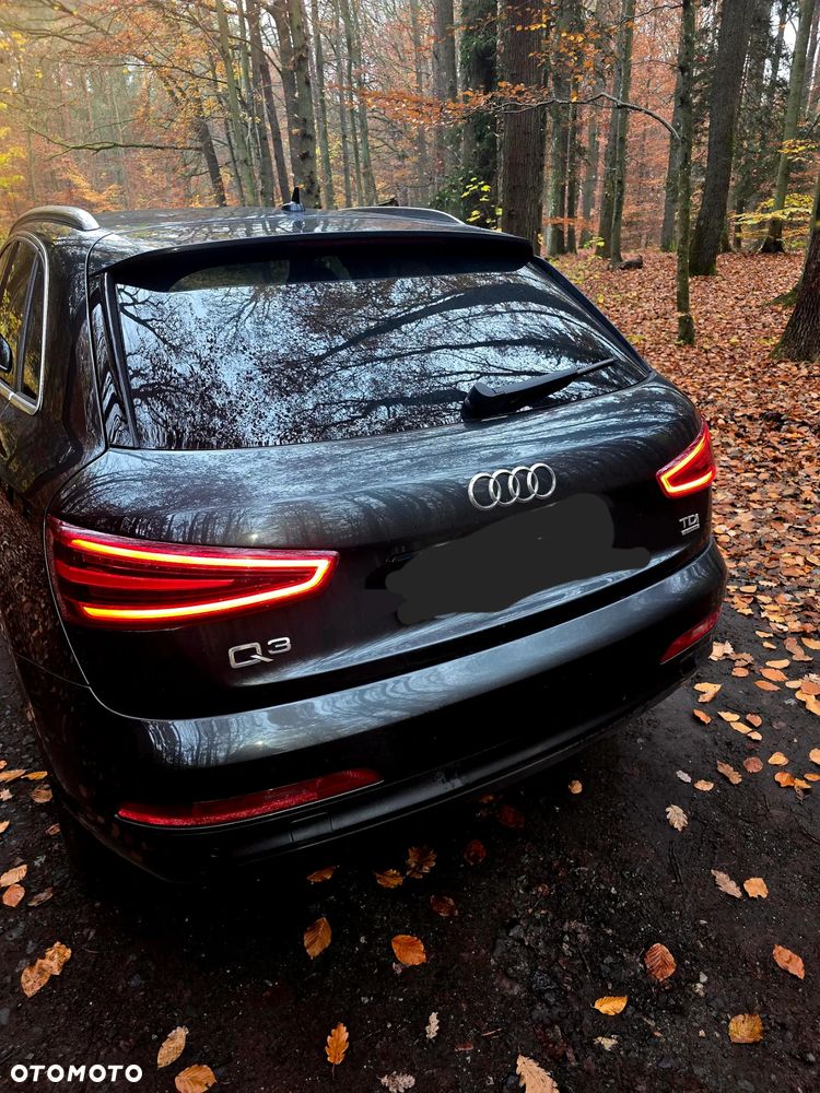 Audi Q3 2.0 TDI Quattro Edycja Specjalna - 6