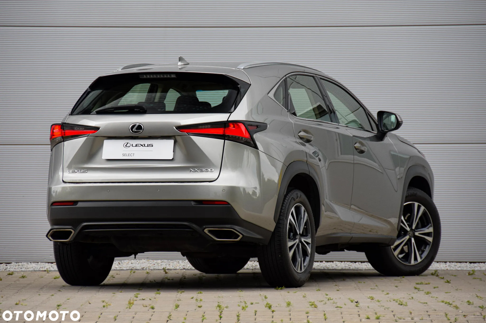 Lexus NX 300 Elegance Optimum AWD - 6