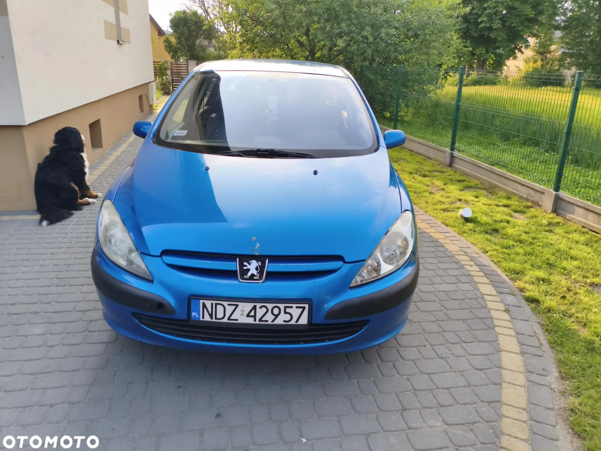 Peugeot 307 1.6 - 6