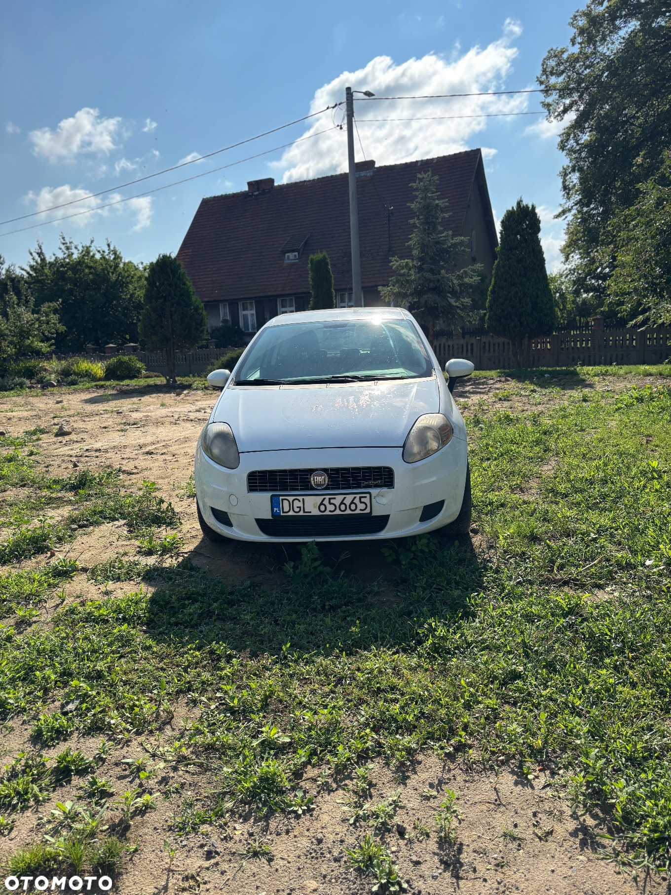 Fiat Punto - 3