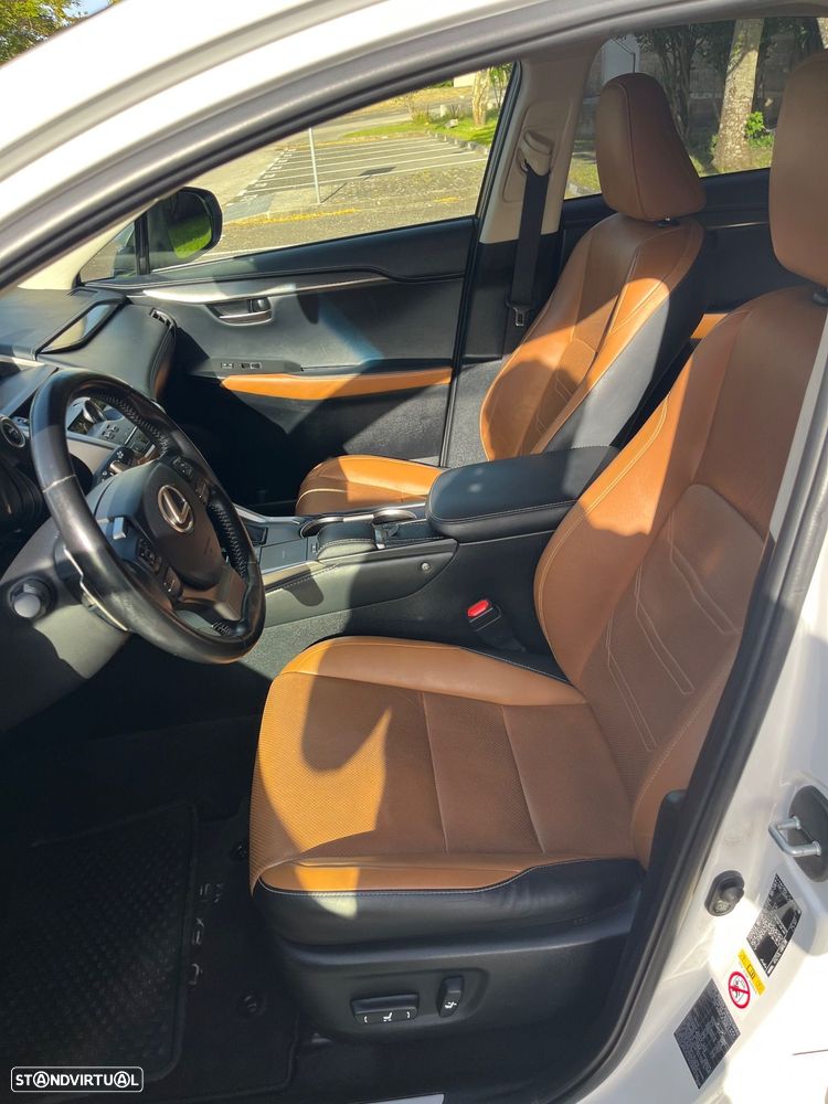 Lexus NX 300h Executive Plus - 12