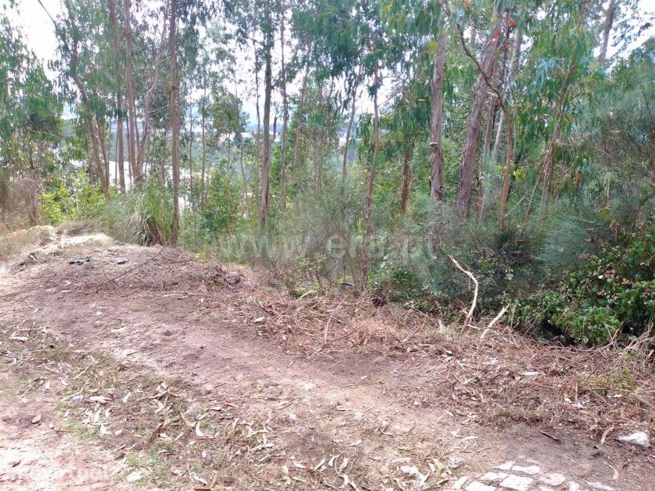 Terreno para construção em Rebordosa - Paredes - Grande imagem: 3/6