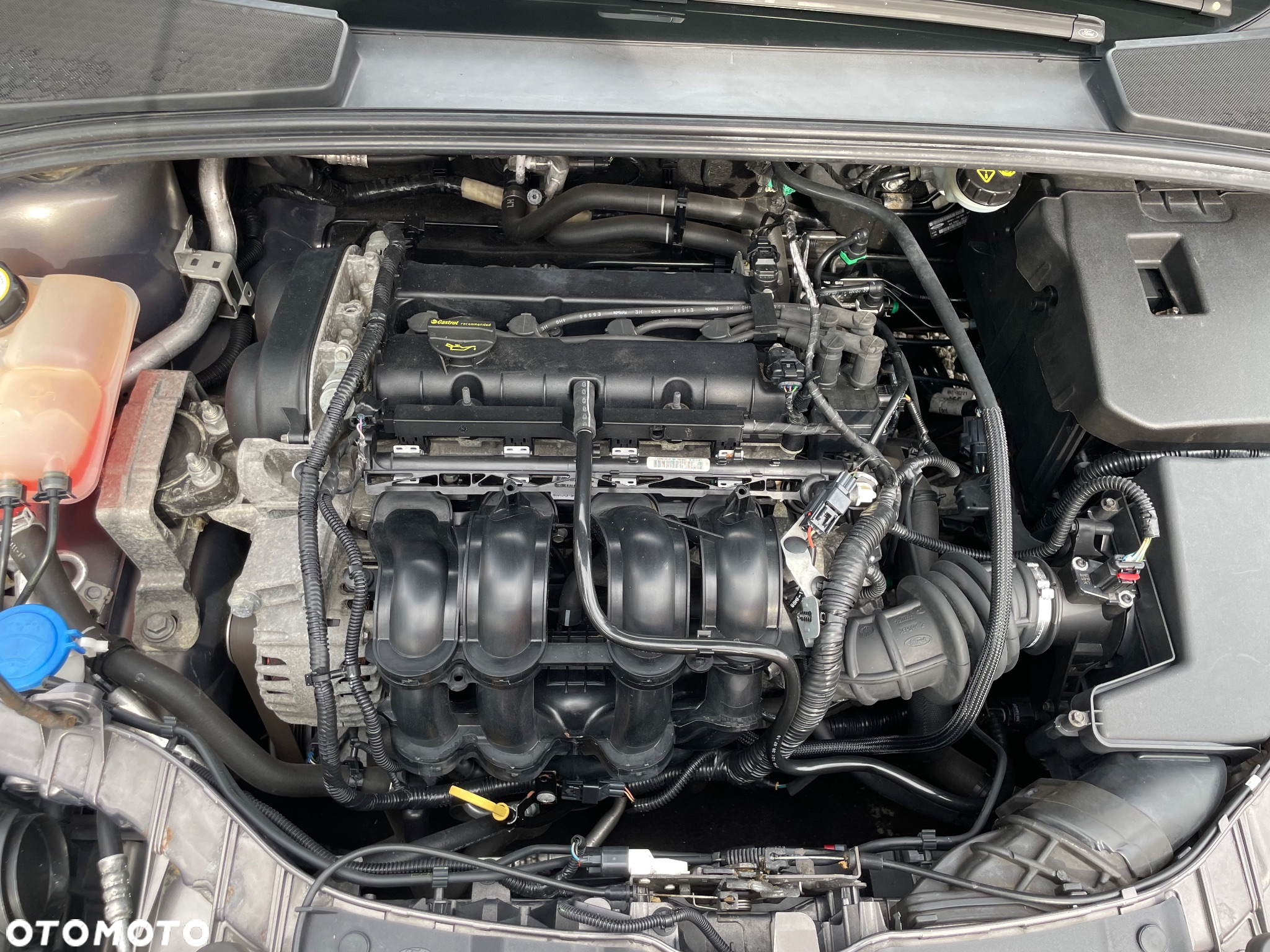 Ford Focus - 17