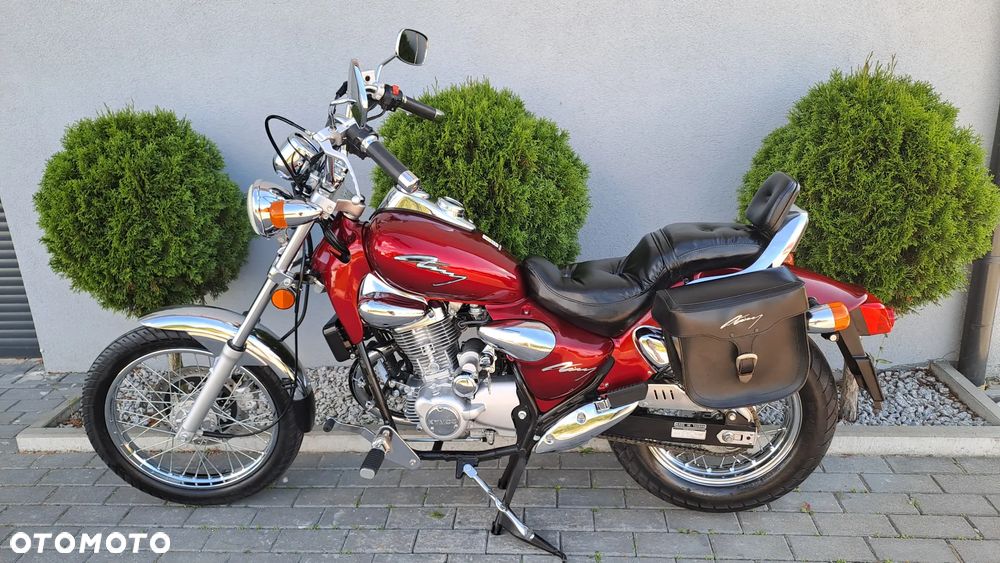 Kymco Zing - 6