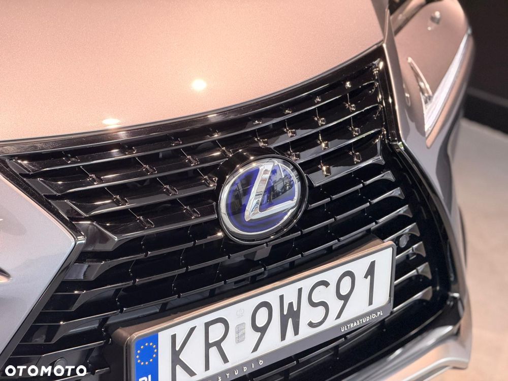 Lexus NX - 4