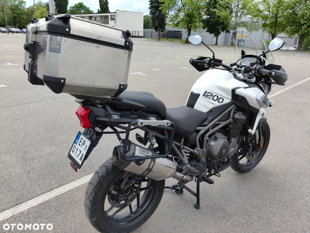 Triumph Tiger - 5