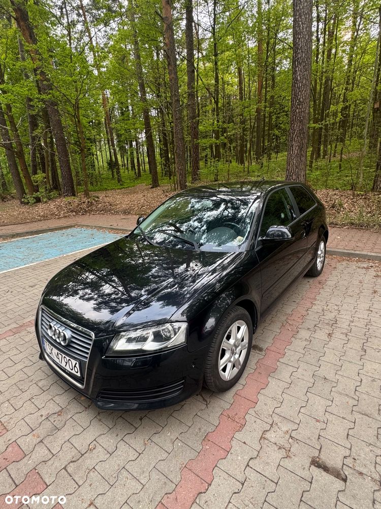 Audi A3 3-drzwiowe 1.6 TDI DPF Attraction - 22