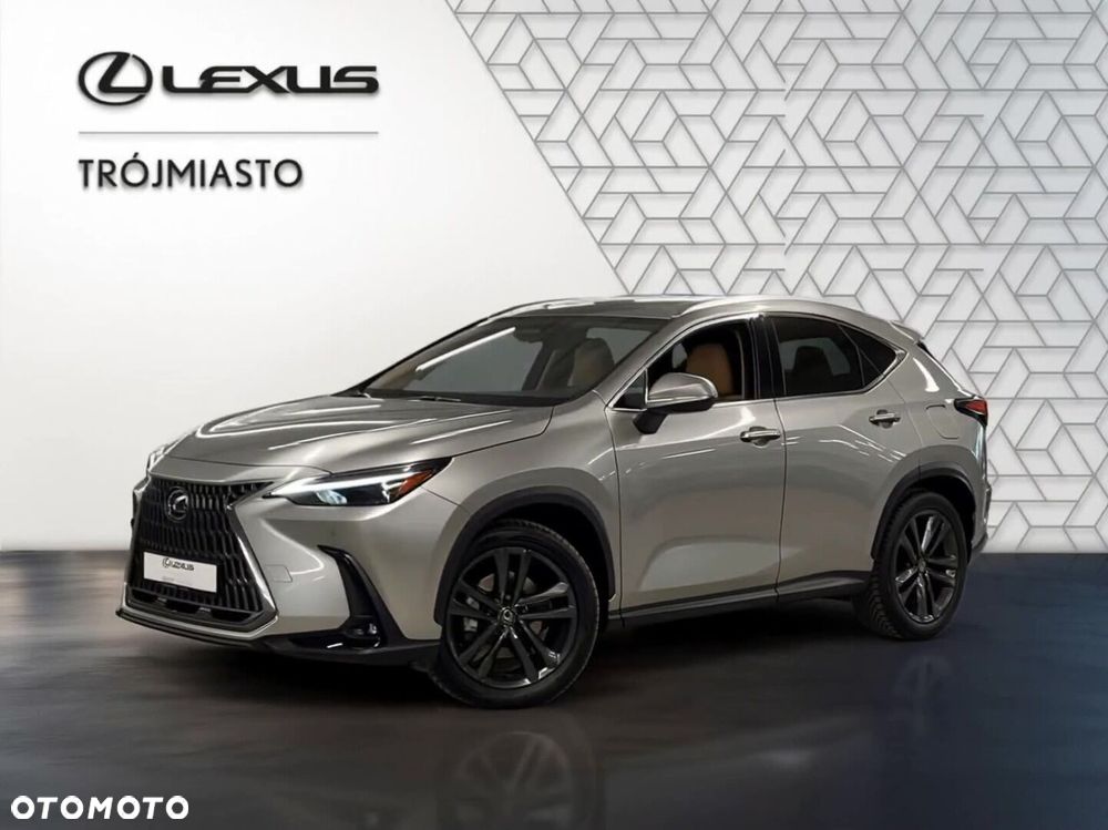 Lexus NX - 12