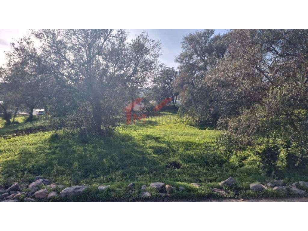 Terreno urbano para construção - São Brás de Alportel - Grande imagem: 3/17