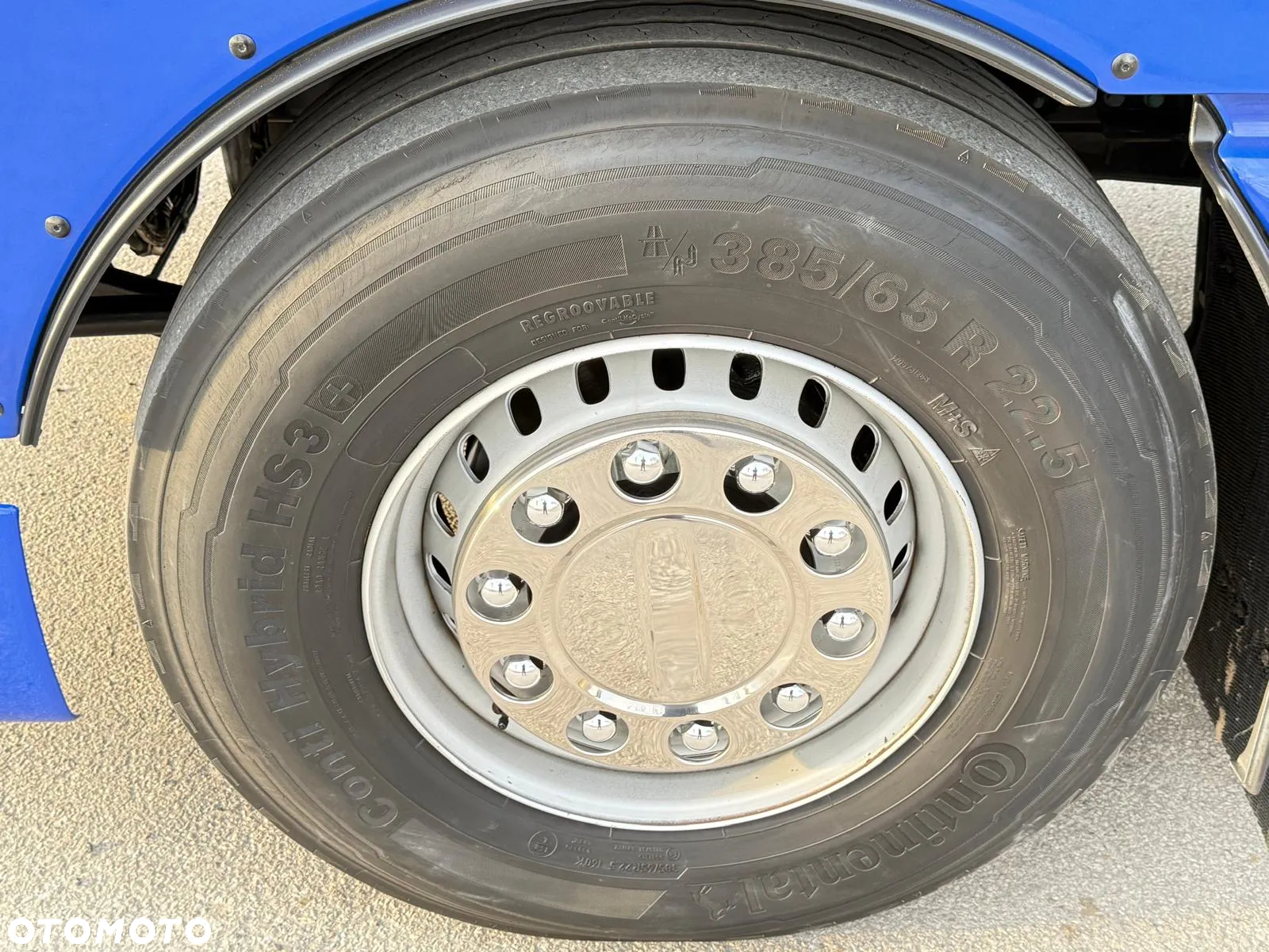 MAN TGX 18.430/SPROWADZONY/DO ŻYWCA/DO BYDŁA/2020/KLIMA POSTOJOWA/SERWISOWANY/JAK NOWY/NISKI PRZEBIEG/RAMA/BDF/E6 - 13