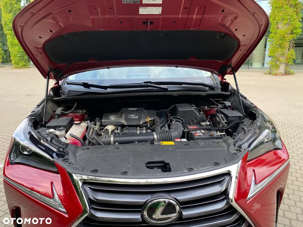 Lexus NX 200t AWD Luxury Line - 17