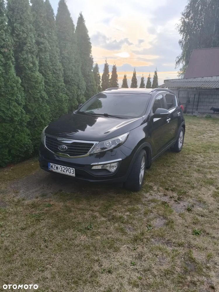 Kia Sportage - 1