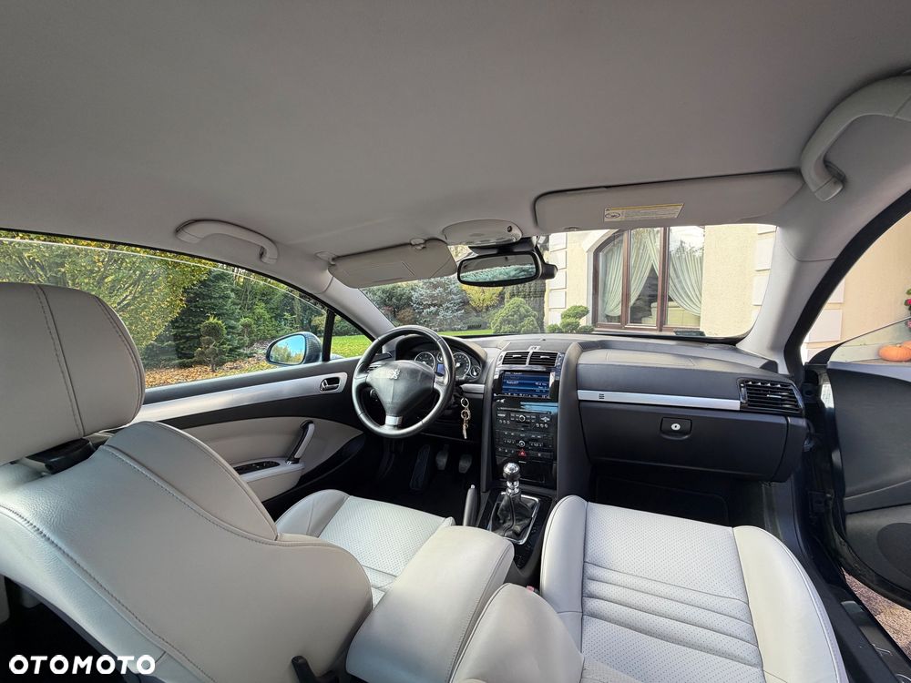 Peugeot 407 - 20