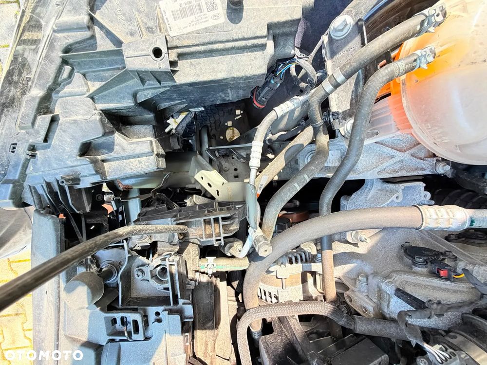 Ford Kuga 1.5 EcoBoost FWD Active X - 23