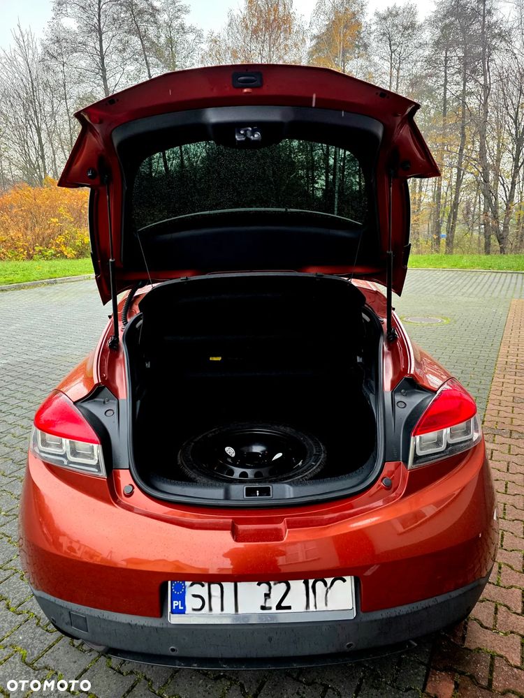 Renault Megane - 22