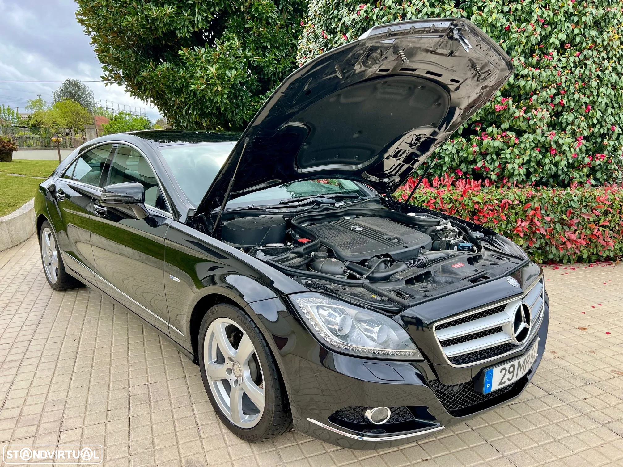 Mercedes-Benz CLS 250 CDi BlueEfficiency - 19