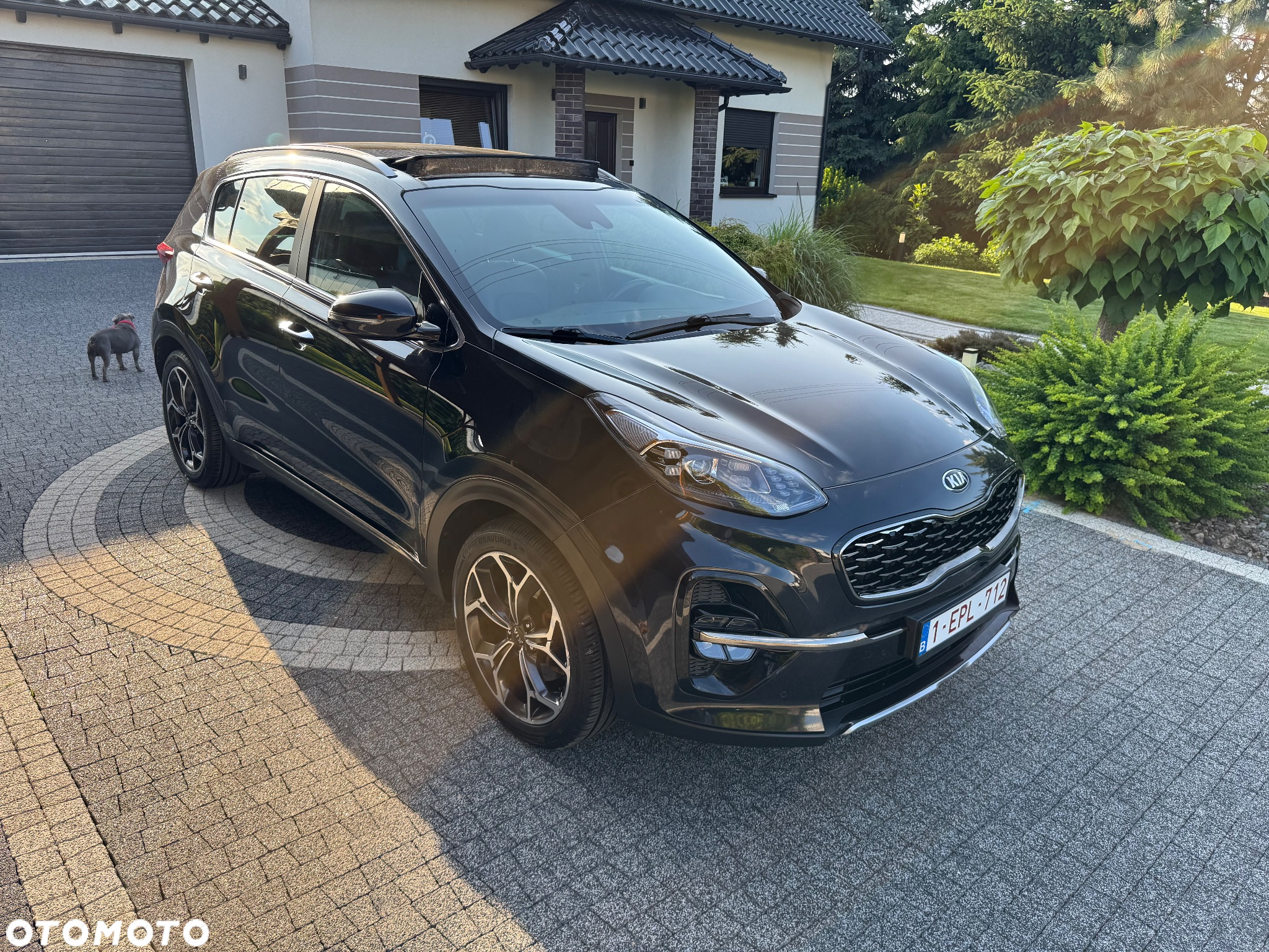 Kia Sportage - 2