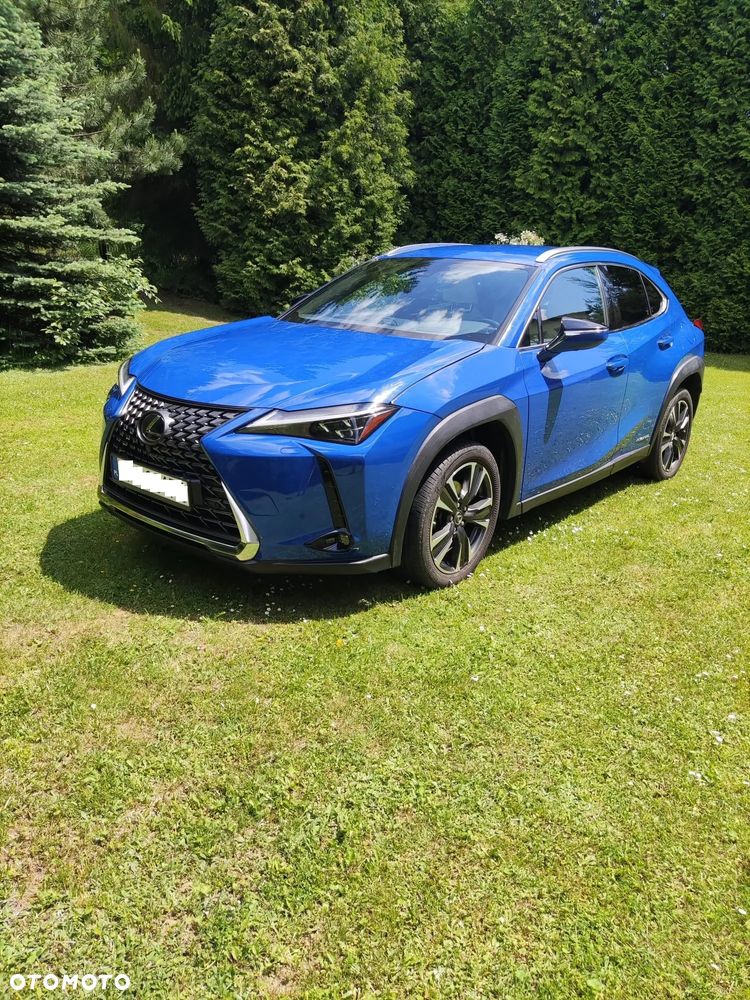 Lexus UX 250h GPF Omotenashi AWD - 2