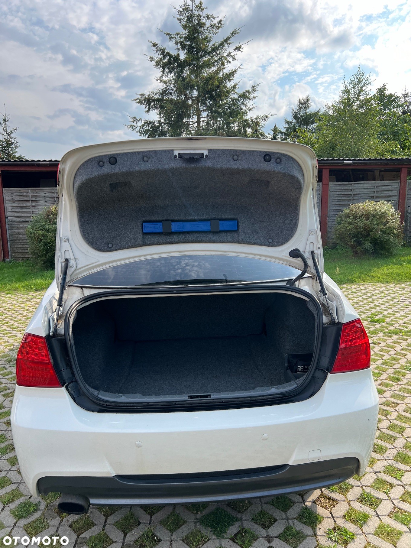 BMW Seria 3 318i - 8