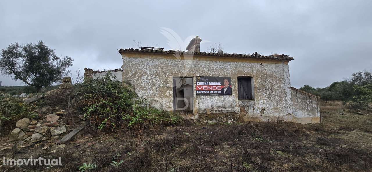 Terreno Rústico em Portalegre - Grande imagem: 2/6
