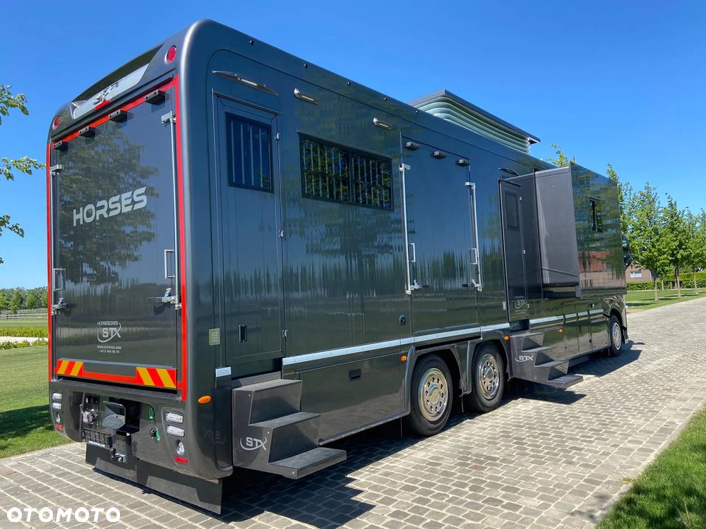 Volvo FH540, Koniowóz STX 6-koni, 2x pop-out, pop-up, 8-osobowy - 3