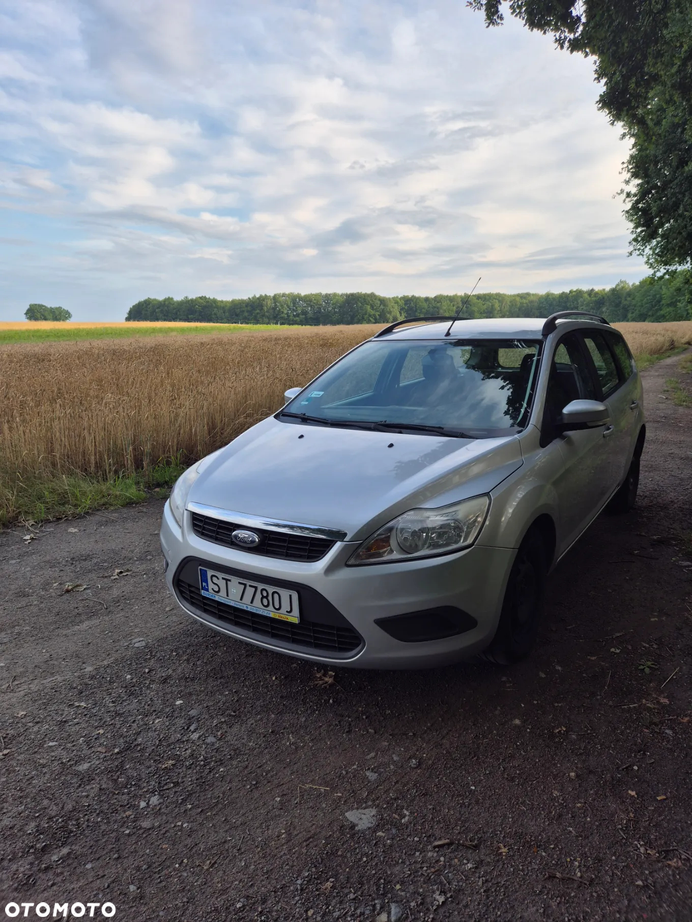 Ford Focus - 6