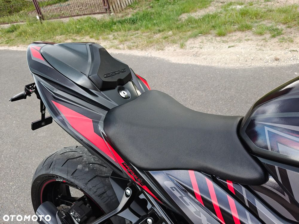 Suzuki GSX - 13