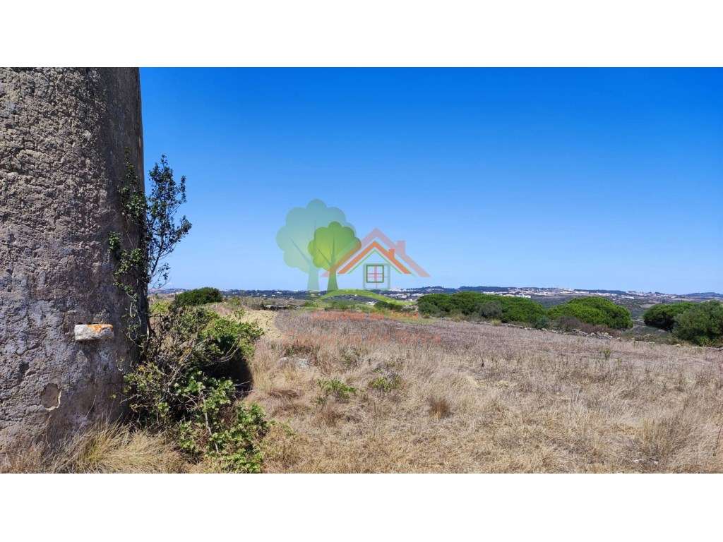 Terreno agrícola, com vista maravilhosa - Grande imagem: 3/14