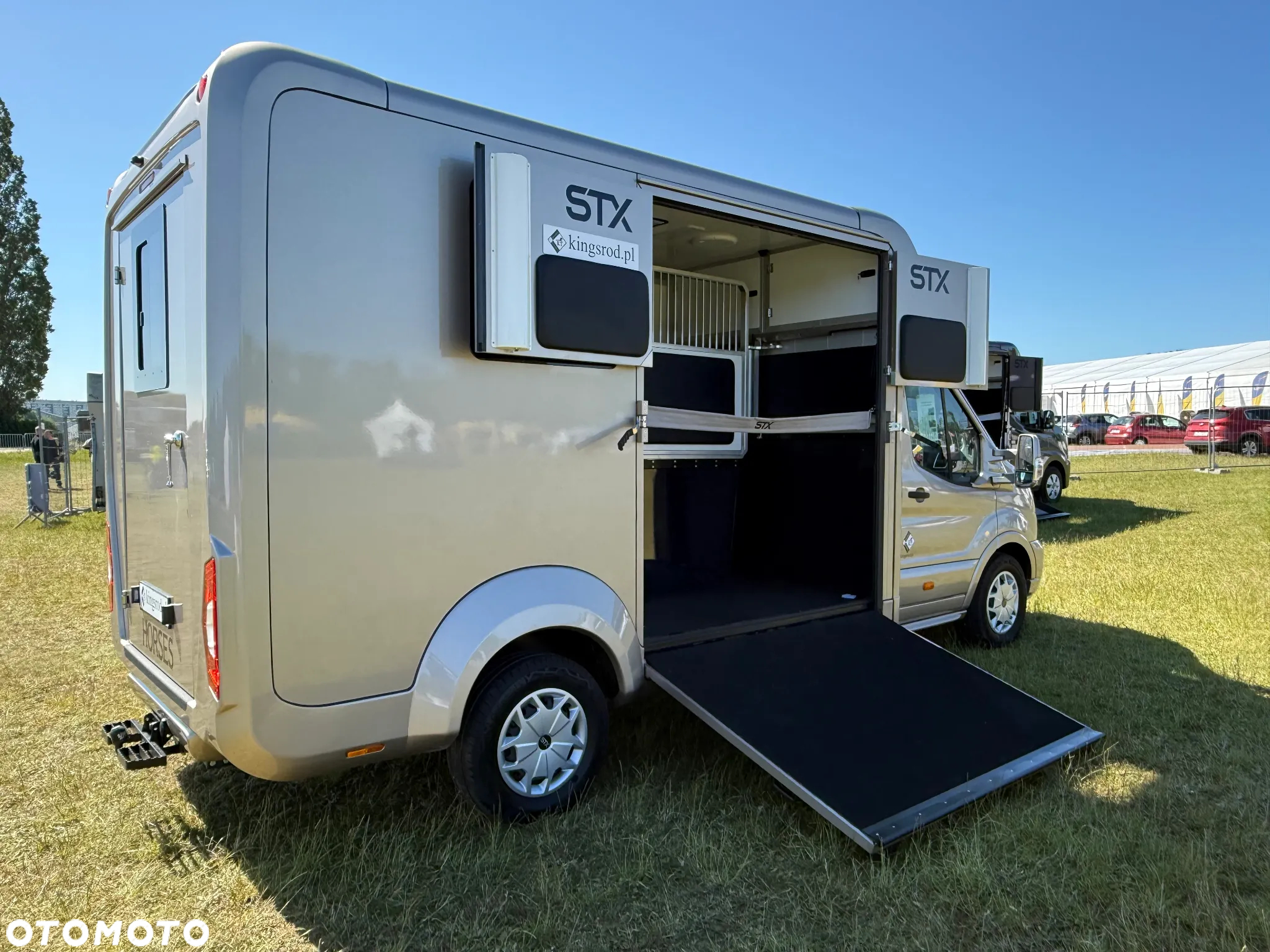 Ford Transit - 6