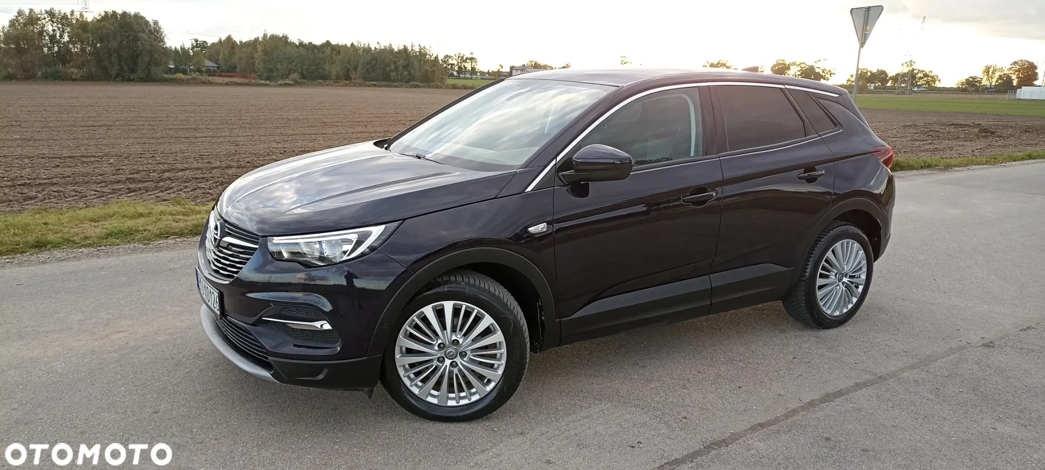 Opel Grandland X 1.2 T GPF Design Line S&S - 6