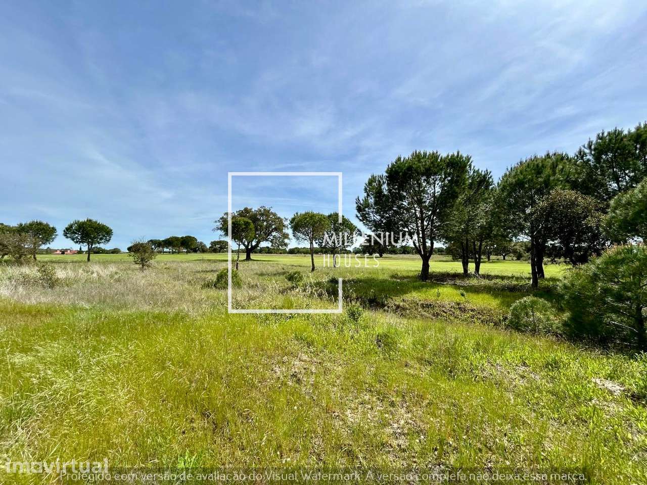 **Terreno Urbano | 1. ª Linha Golfe | Vila Nova de Santo Estêvão** - Grande imagem: 5/25