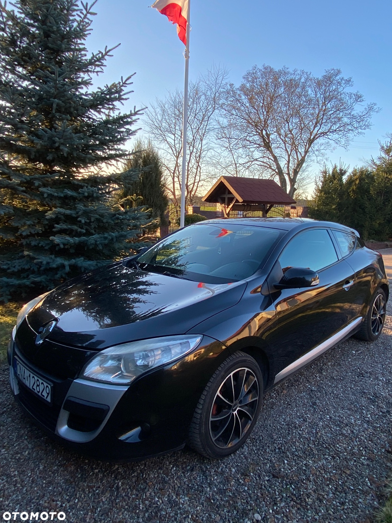 Renault Megane CC 1.6 16V Authentique - 15
