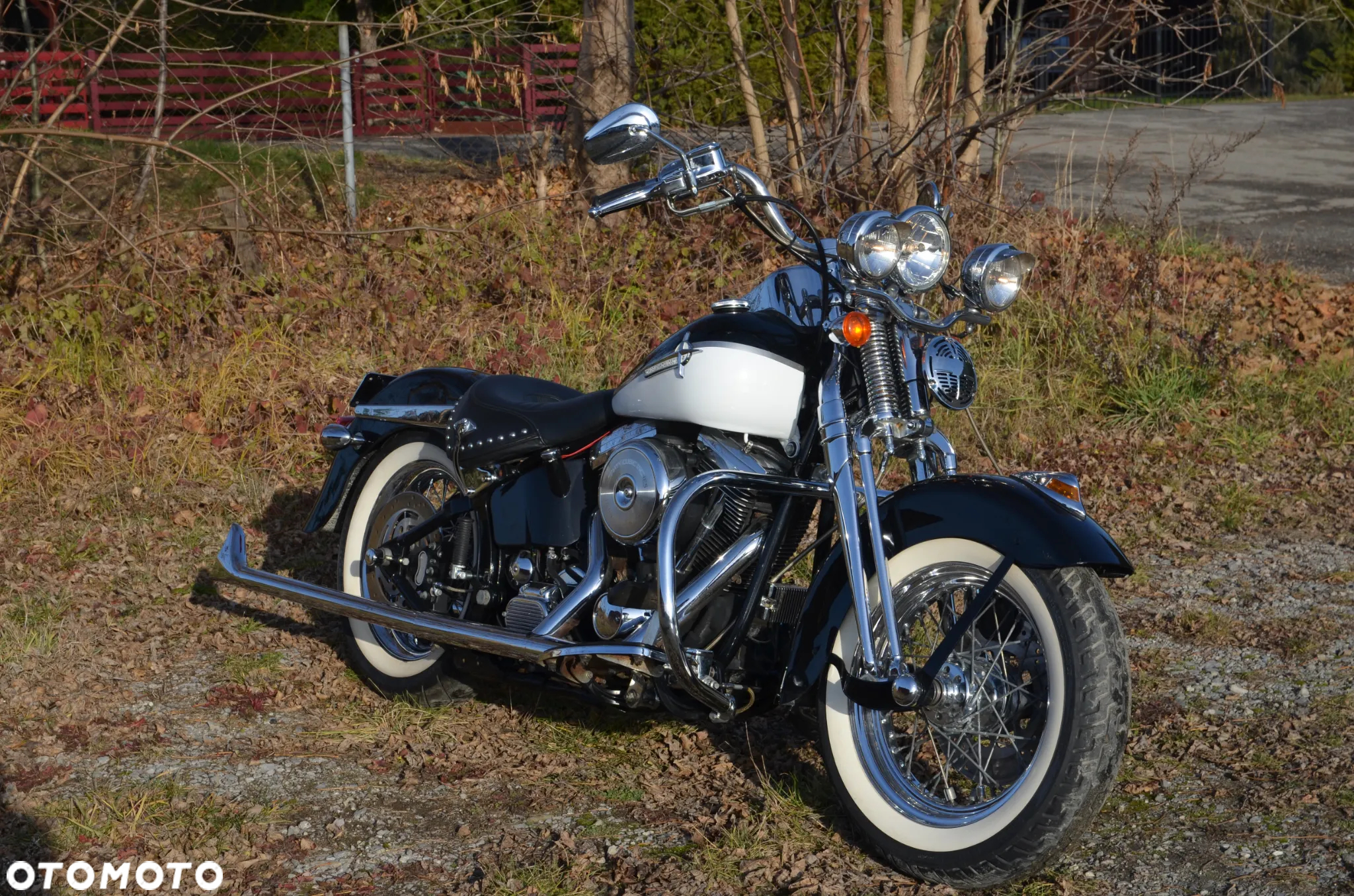 Harley-Davidson Softail Springer Classic - 29