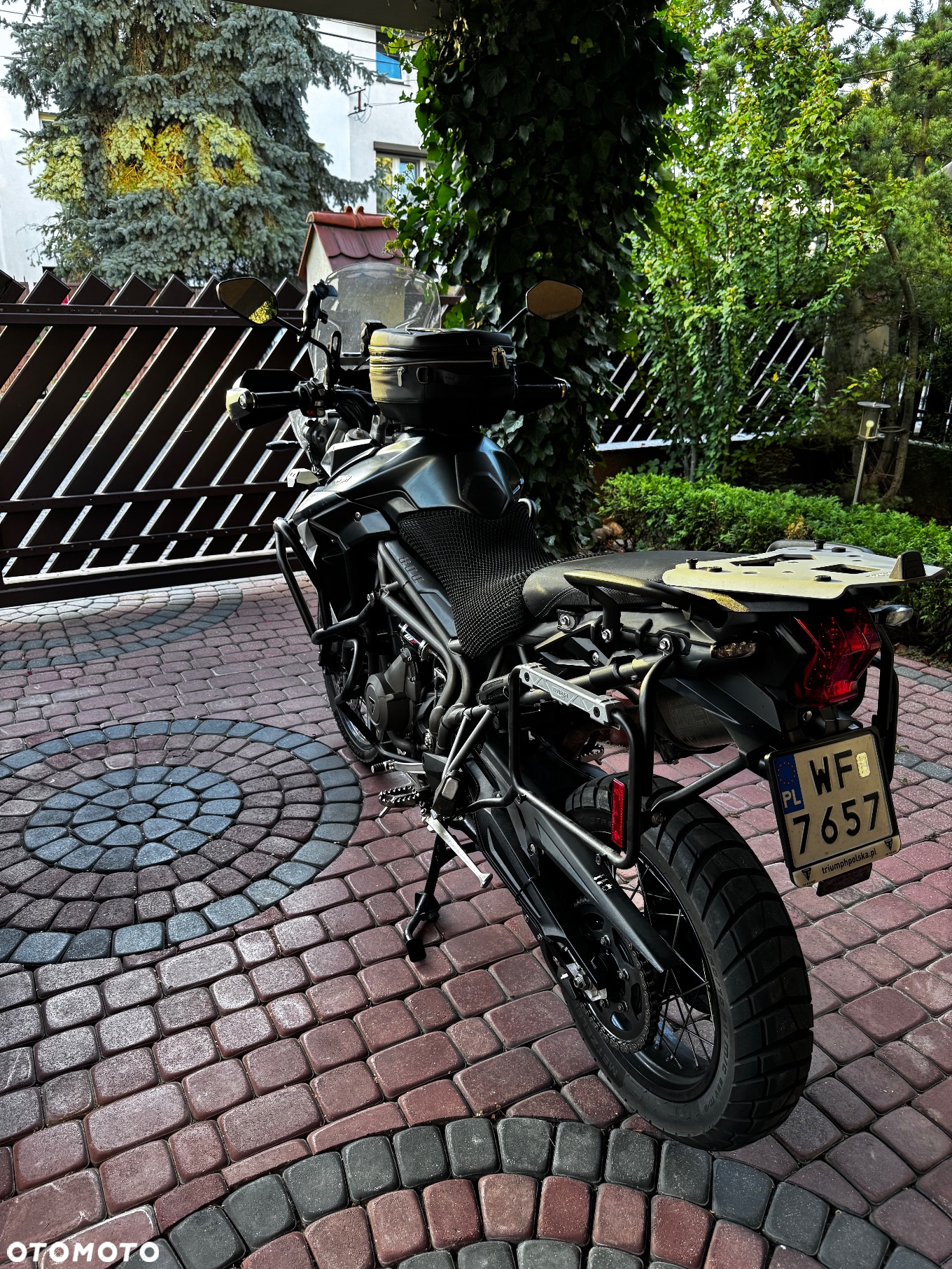 Triumph Tiger - 3