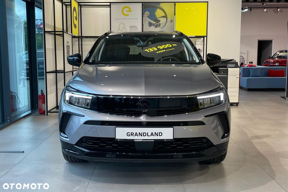 Opel Grandland 1.5 CDTI GS S&S - 3