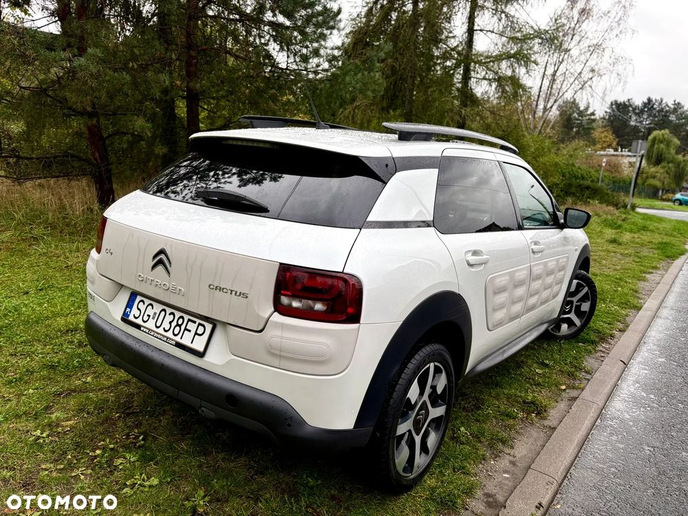 Citroën C4 Cactus PureTech 110 Stop&Start Shine - 17