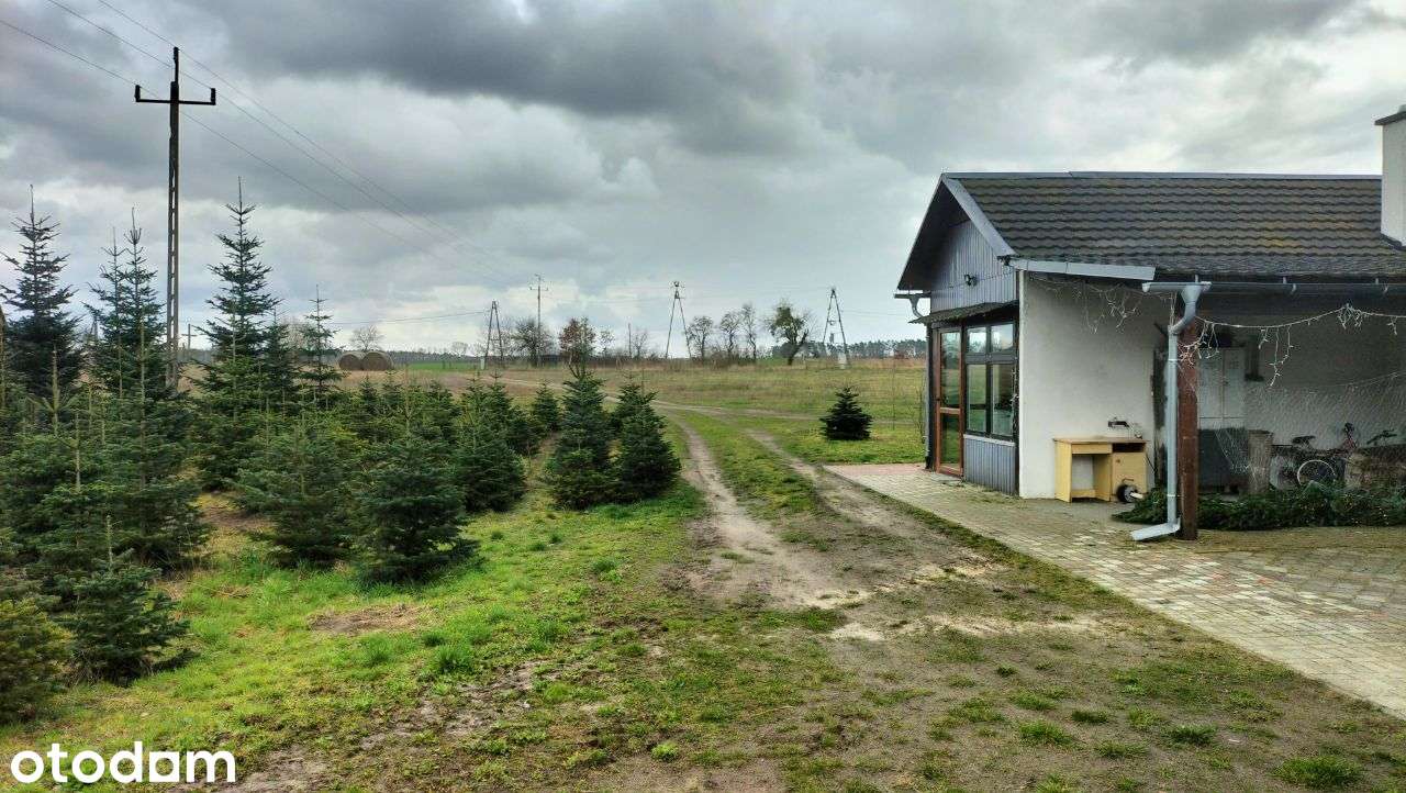 Atrakcyjna działka 2000 m2 w spokojnej okolicy. - Pełny obrazek: 2/11