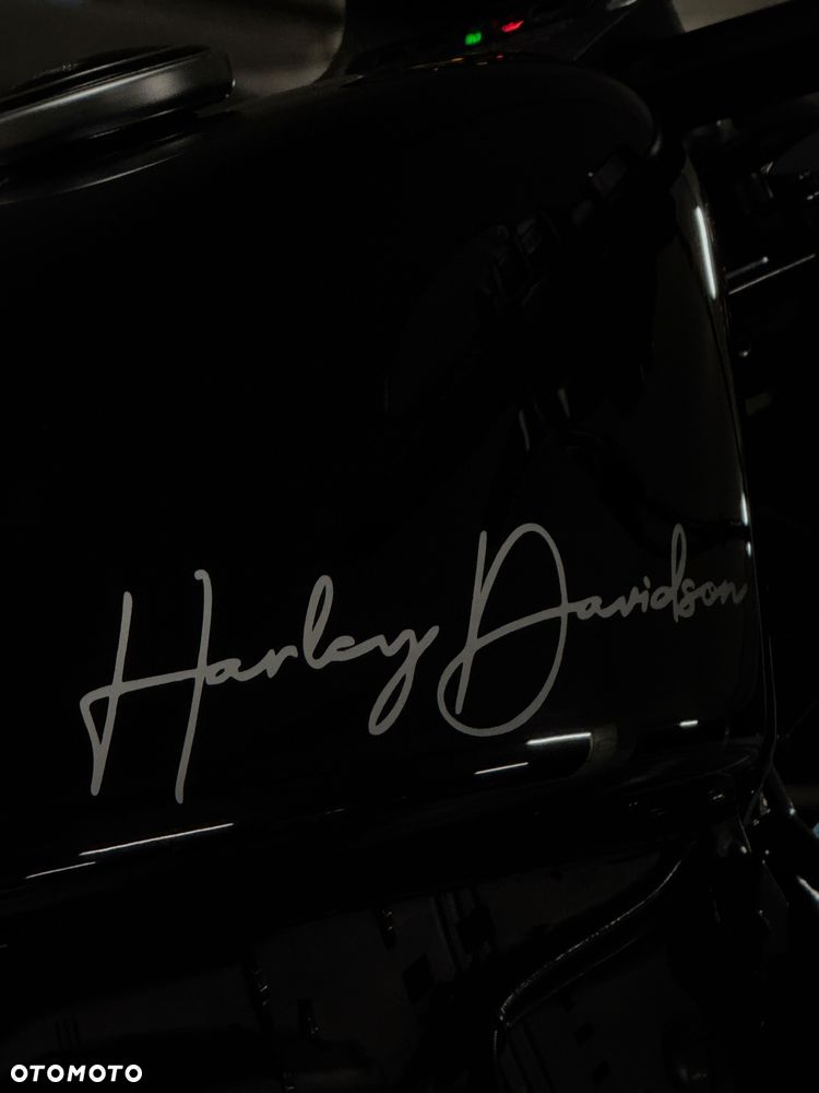Harley-Davidson Sportster Iron 1200 - 19