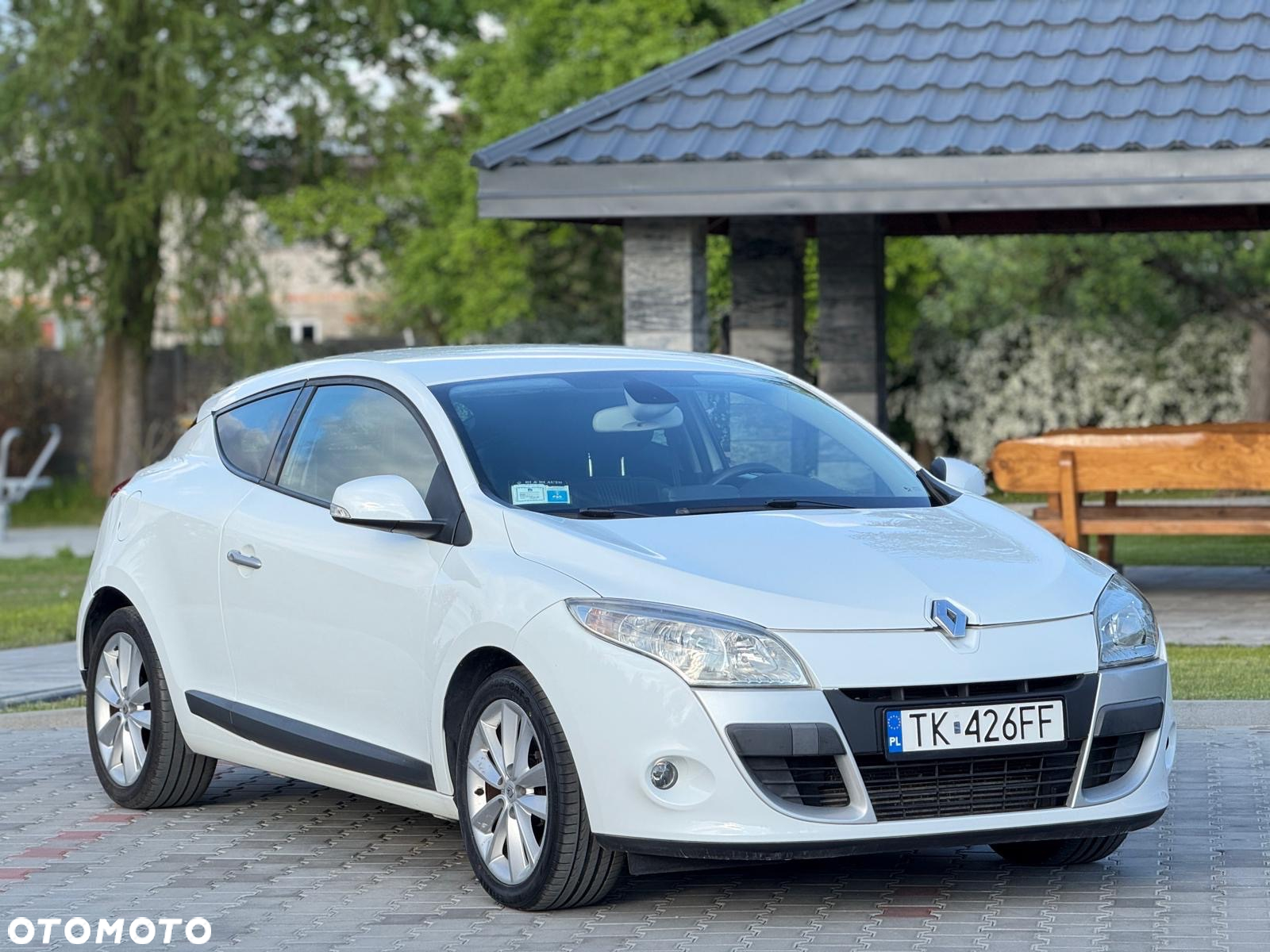 Renault Megane 2.0 16V TCE Dynamique - 2