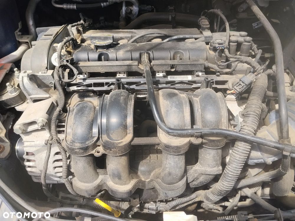 Ford Focus - 13