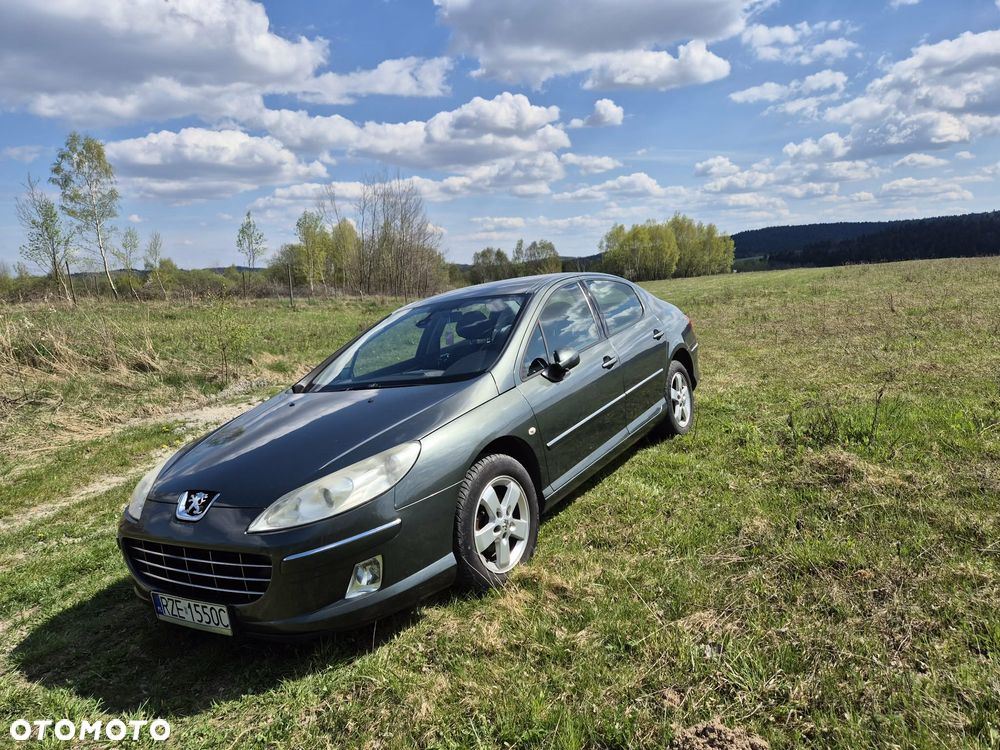 Peugeot 407 HDi 110 Esplanade - 31